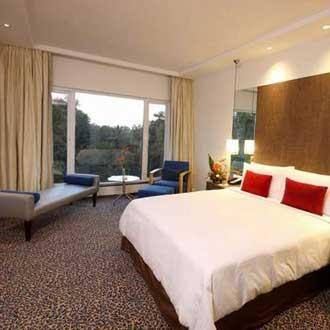 Savannah Sinclairs, Bangalore 3